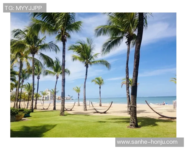 探索阿拉巴的魅力与文化深度，感受这片土地的独特风情与历史韵味