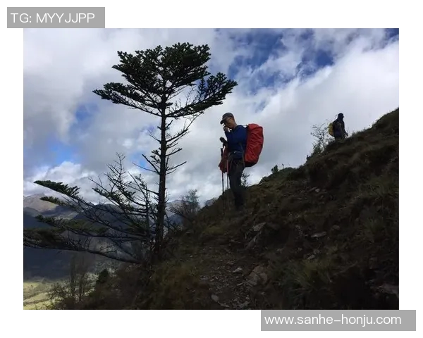 斯通斯的传奇之旅：从摇滚乐坛到文化符号的演变与影响